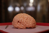 Gummy Human Brain Prop