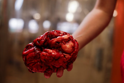 Gummy Human Brain Prop