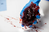 Gummy Human Heart Prop